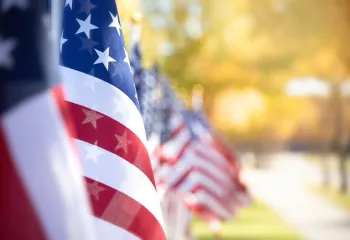 A close-up of a row of United States flags. They are outdoors and the sun is shining.