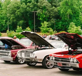 Cars lined up at a car show