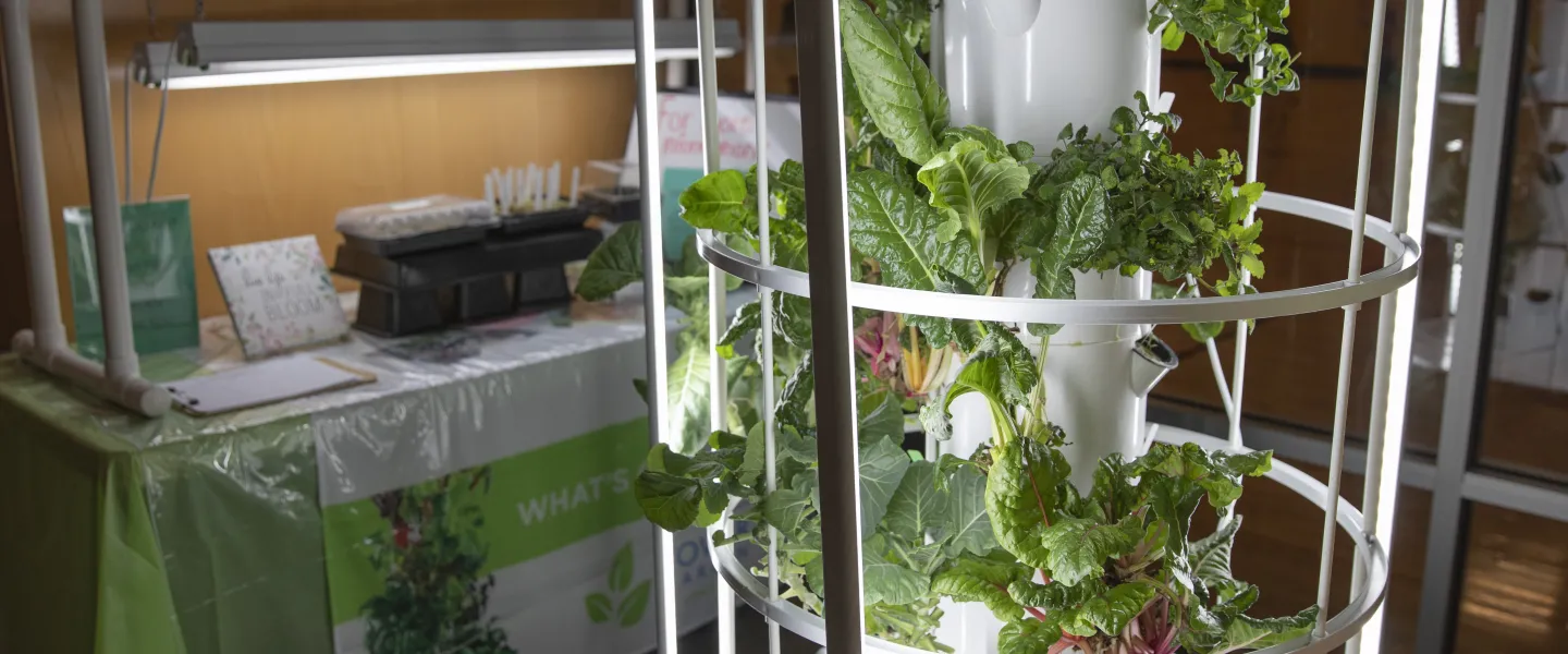 A photo of the Hayes-Taylor YMCA's garden. There is a bench with an overhead light in the background of the photo. In the foreground is a hanging garden with vegetables growing.