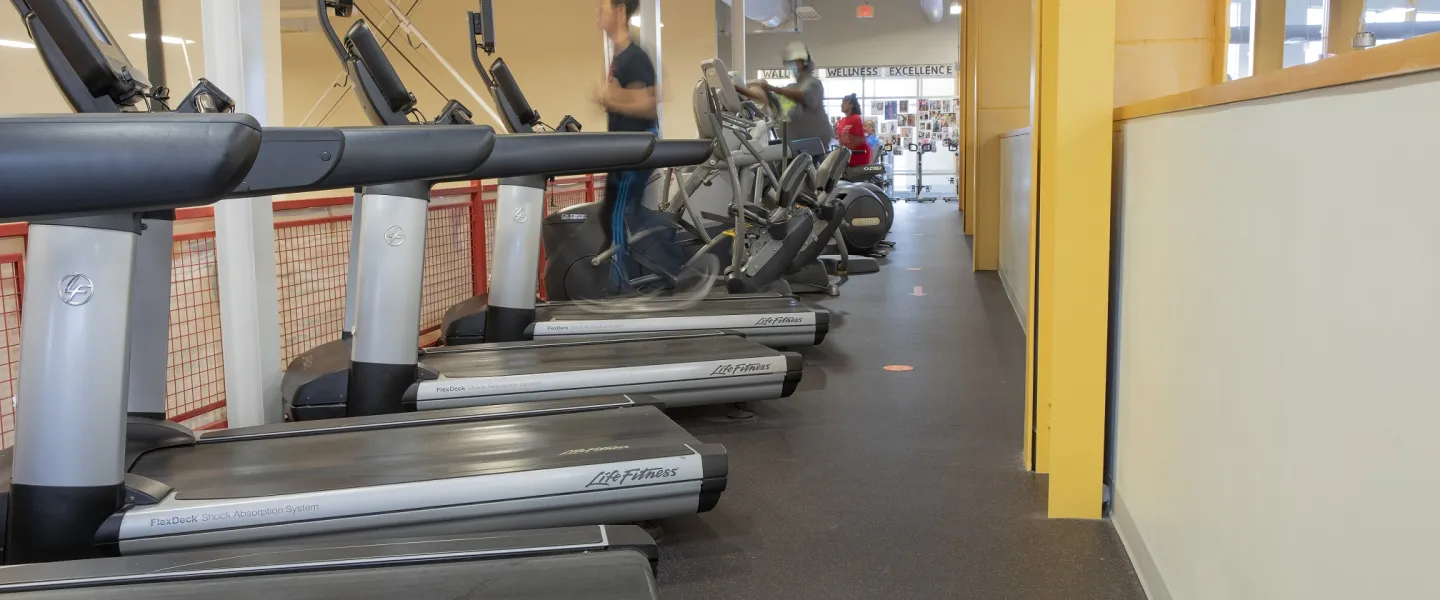 A line of treadmills, ellipticals, and stationary bikes at the Hayes-Taylor YMCA.