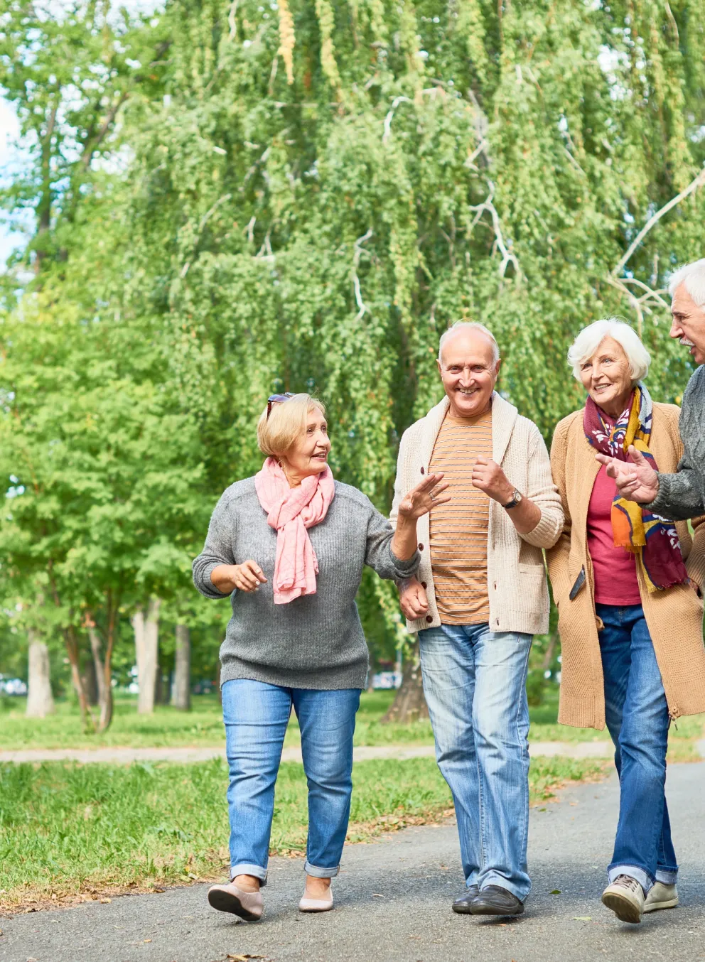 A group of senior friends walking outdoors together.