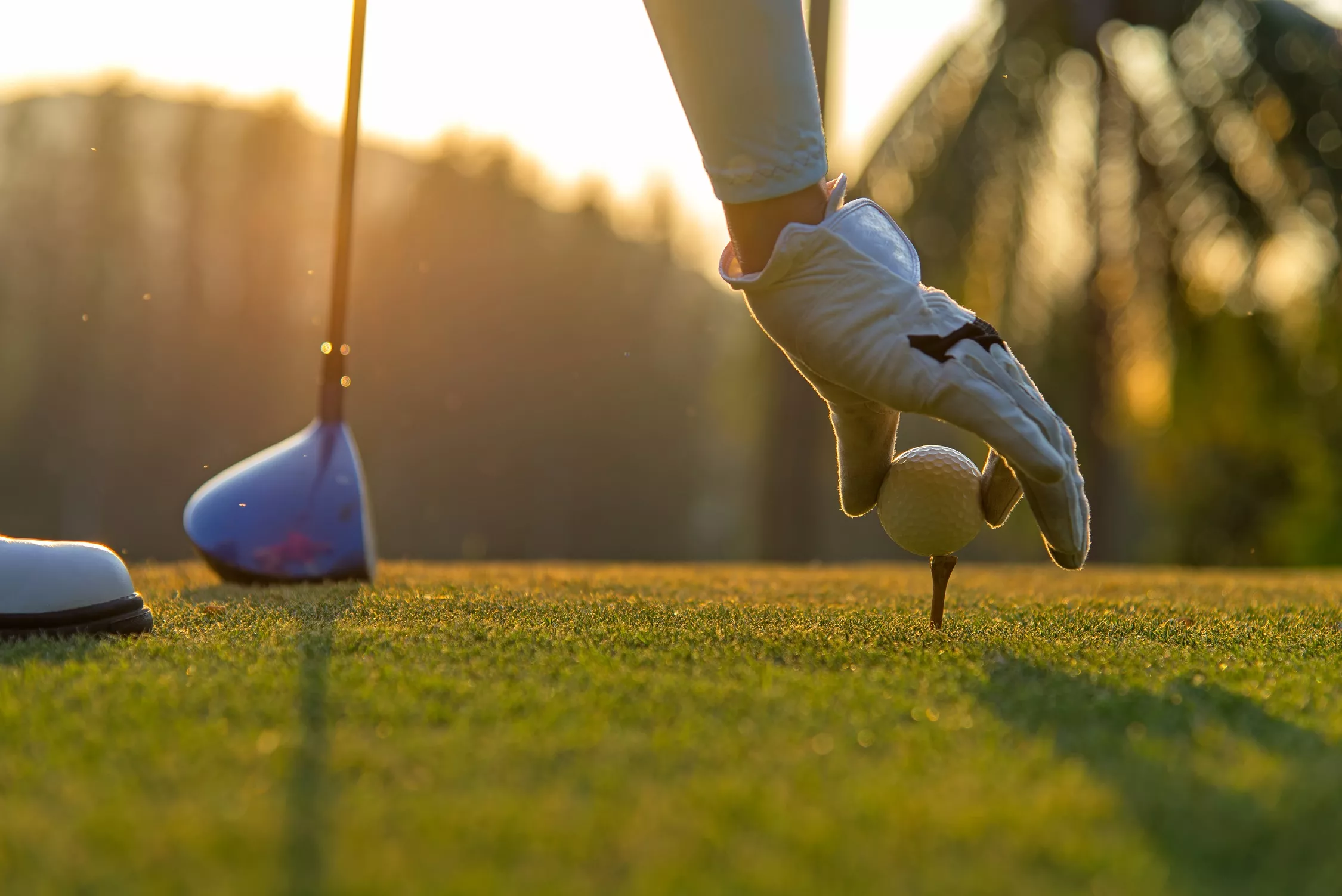 A gloved hand adjusts a golf tee on the golf course. There is a bright sunset and a golf club in the background.