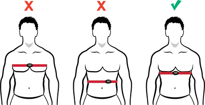 Myzone belt around chest.