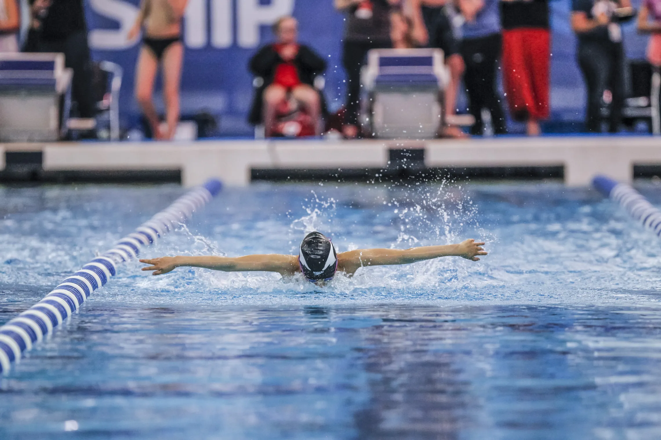 A GCY Makos swimmer competes at the long course trials swim meet.