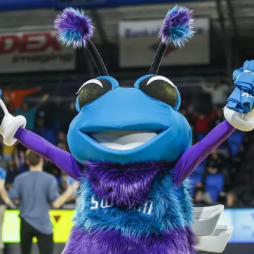 Swarmy throwing YMCA tshirts to the crowd at Greensboro Swarm basketball game.