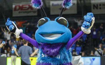 Swarmy throwing YMCA tshirts to the crowd at Greensboro Swarm basketball game.